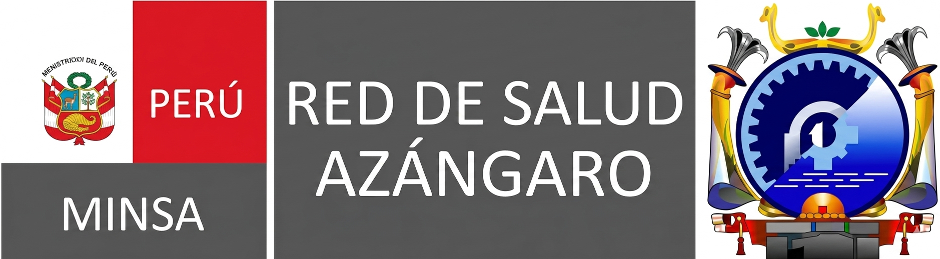 RED DE SALUD AZANGARO